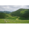 imagebasque02
